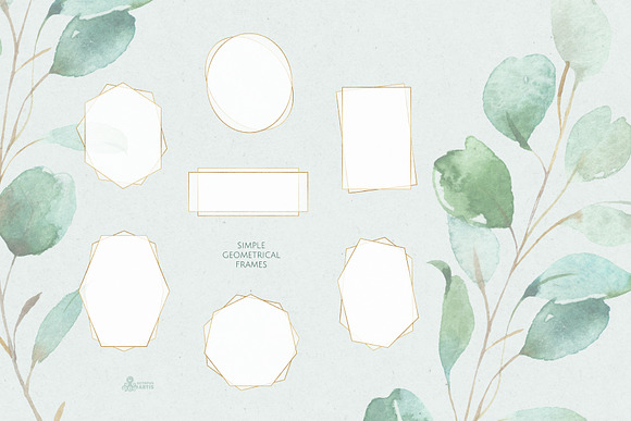 Eucalyptus. Watercolor Collection in Illustrations - product preview 12