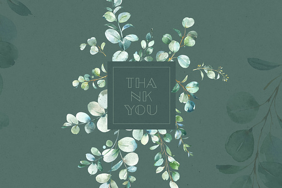 Eucalyptus. Watercolor Collection in Illustrations - product preview 16