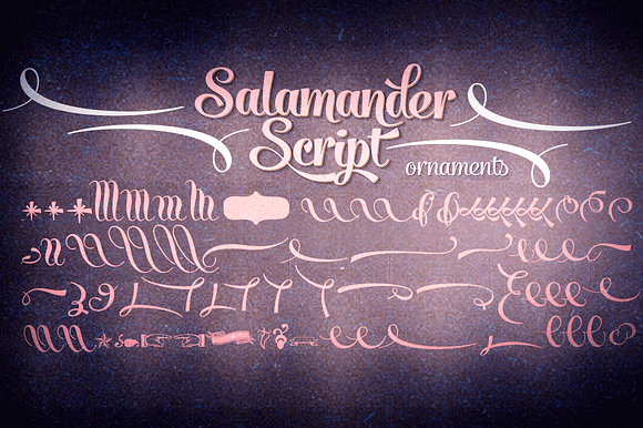 Salamander Script in Script Fonts - product preview 2