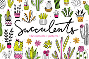 Succulents Illustrations + Patterns