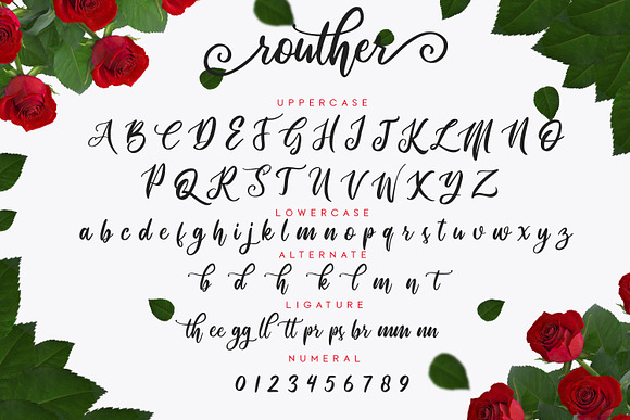 routher - beautiful script font in Script Fonts - product preview 1