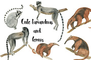 Watercolor lemurs and tamandua