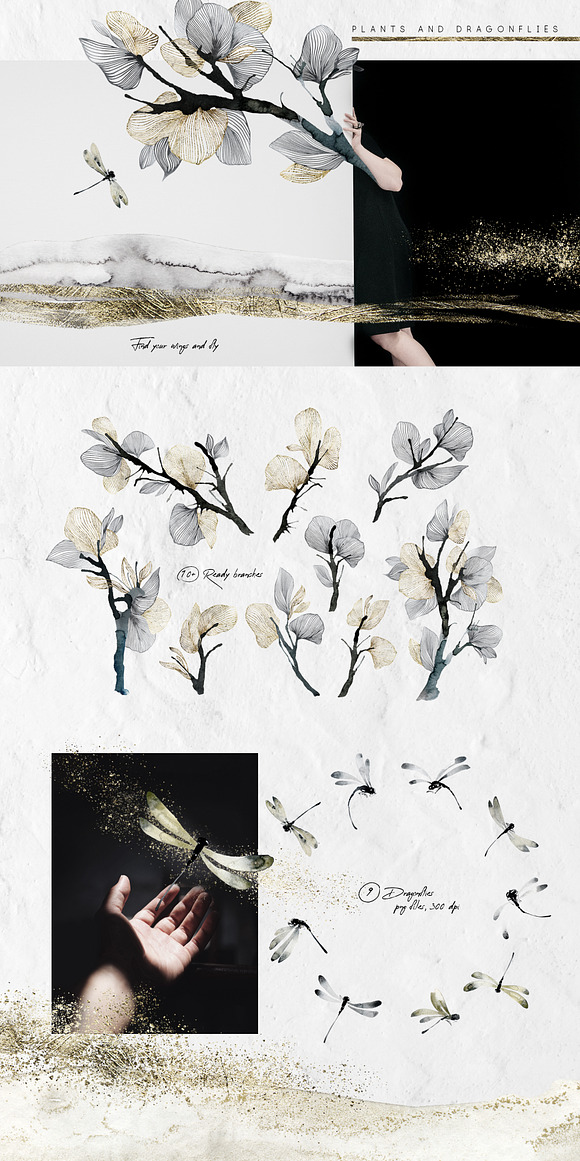 "Tamashi" Elegant Graphic Collection in Illustrations - product preview 2