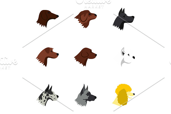 Types of dogs icons set, flat style