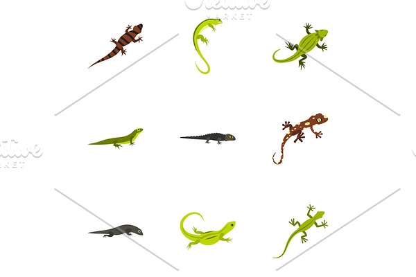 Iguana icons set, flat style