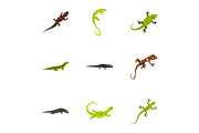 Iguana icons set, flat style