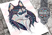 Ethnic Collection: Husky