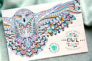 Ethnic Collection: Snowy Owl