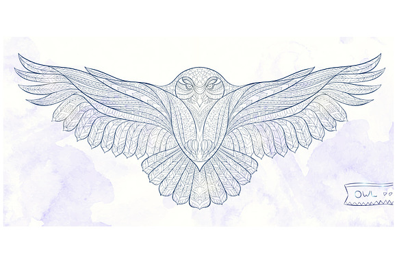 Ethnic Collection: Snowy Owl in Illustrations - product preview 4