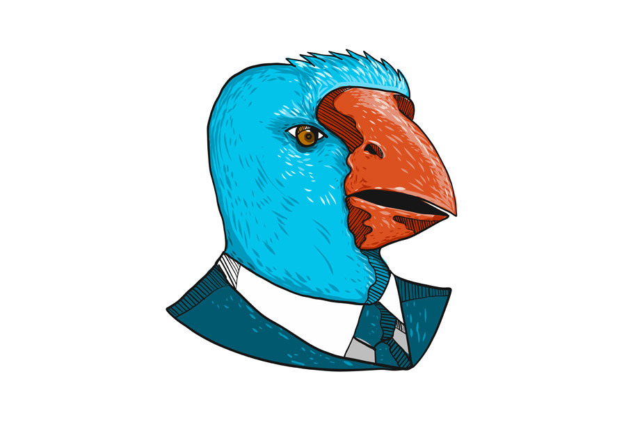 South Island Takahe in Business Suit