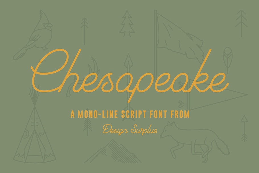 Chesapeake Script Font in Script Fonts - product preview 8