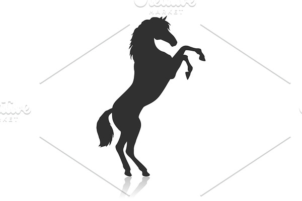Rearing Pinto Horse Illustration in