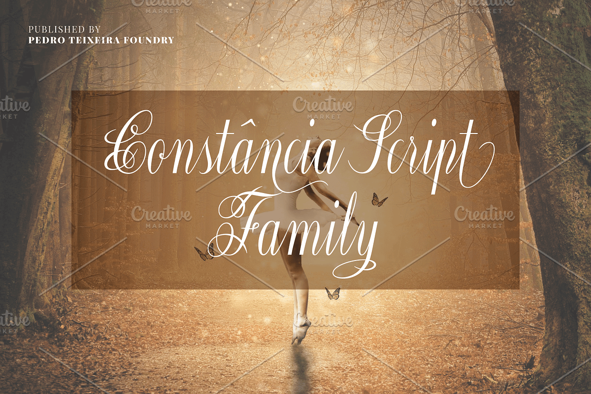 Constância Script Family in Script Fonts - product preview 8