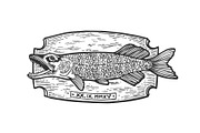 Fish trophy engraving vector