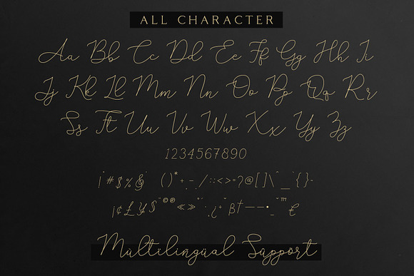 Adelya - Elegant Signature Font in Script Fonts - product preview 8