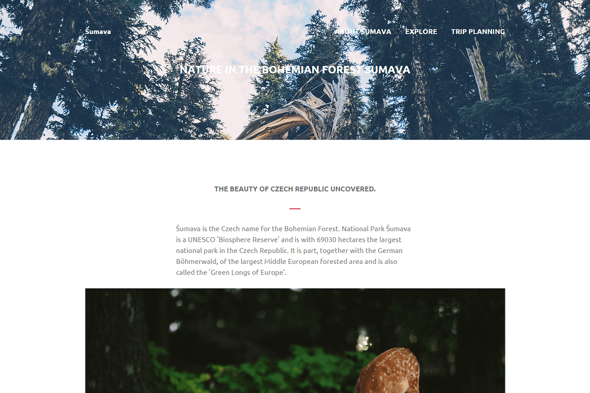 Sumava: Multi-Purpose HTML Template in HTML/CSS Themes - product preview 8