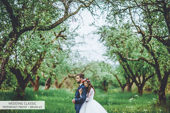 Lightroom Presets Wedding Classic in Photoshop Plugins - product preview 27