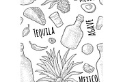 Seamless pattern tequila