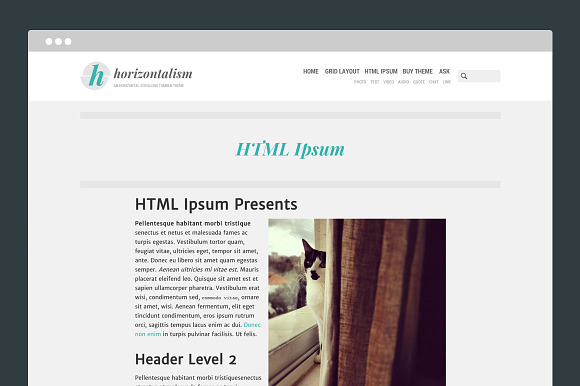 Horizontalism Tumblr Theme in Tumblr Themes - product preview 2