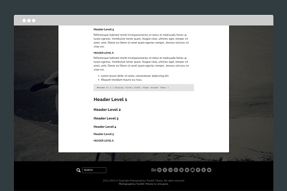Photographica Tumblr Theme in Tumblr Themes - product preview 2
