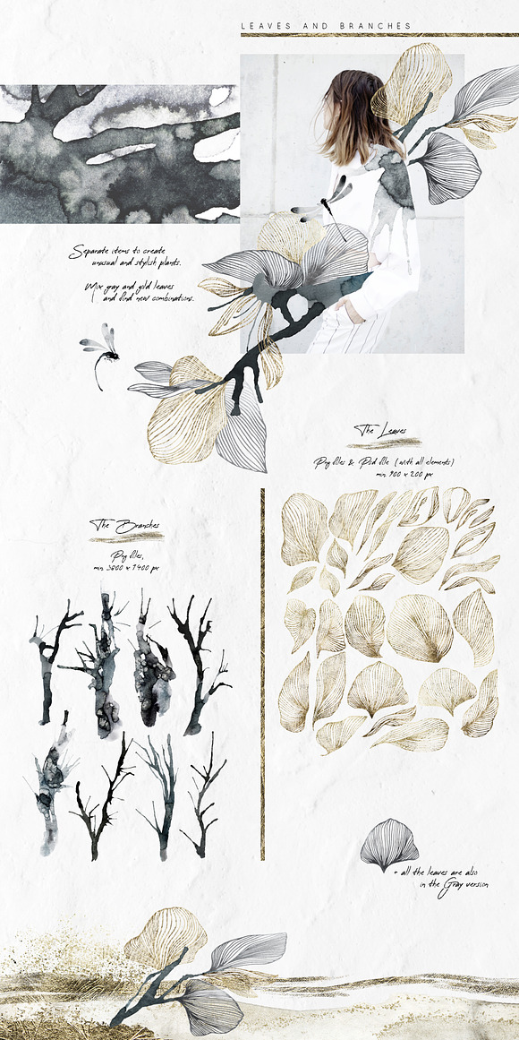 "Tamashi" Elegant Graphic Collection in Illustrations - product preview 9