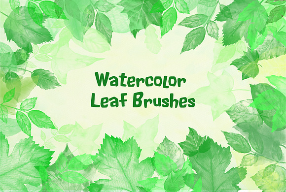 Watercolor Leaf Photoshop Brushes in Photoshop Brushes - product preview 2