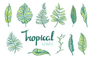 Summer tropical collection