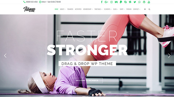 Fitness WordPress Theme in WordPress Business Themes - product preview 12