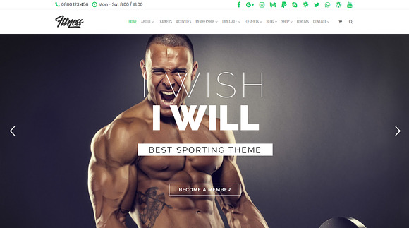 Fitness WordPress Theme in WordPress Business Themes - product preview 14