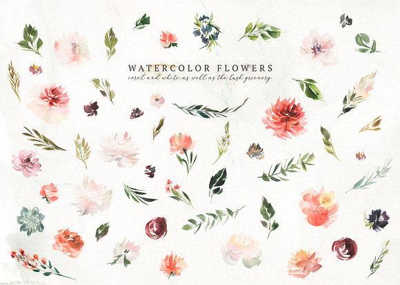 Watercolor White & Coral Flowers in Illustrations - product preview 4