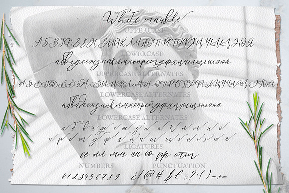 White Marble Calligraphy Font in Script Fonts - product preview 6