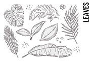 Leaf Doodle Clipart