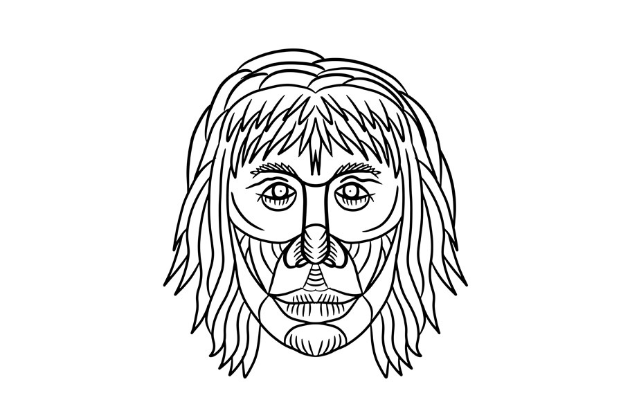 Homo Habilis Face Front Drawing