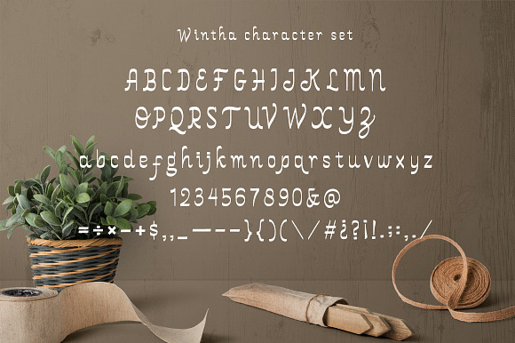 Wintha Typeface in Display Fonts - product preview 4