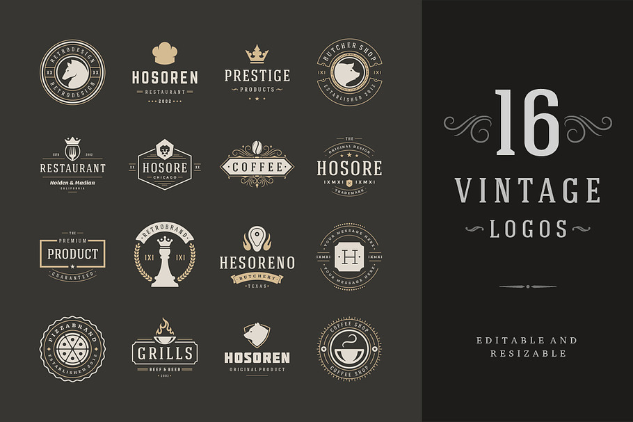 16 Vintage Logotypes or Badges in Logo Templates - product preview 8