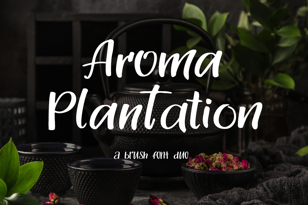 Aroma Plantation-font duo in Script Fonts - product preview 8