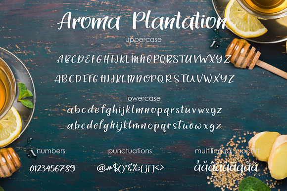 Aroma Plantation-font duo in Script Fonts - product preview 3