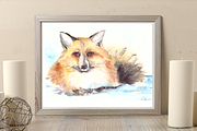 Mister Fox - Watercolor Illustration