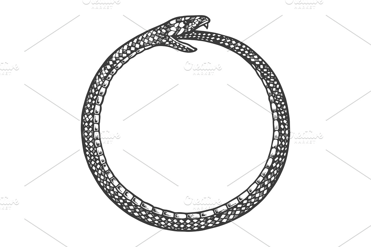 Snake bites itself engraving vector in Illustrations - product preview 8