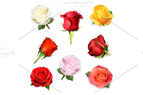 Rose, love symbol, vector icon set