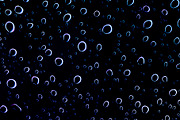 Blued Dark Bubbles Print