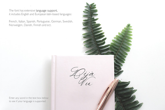 Allure and Grace. Calligraphy Font in Calligraphy Fonts - product preview 14