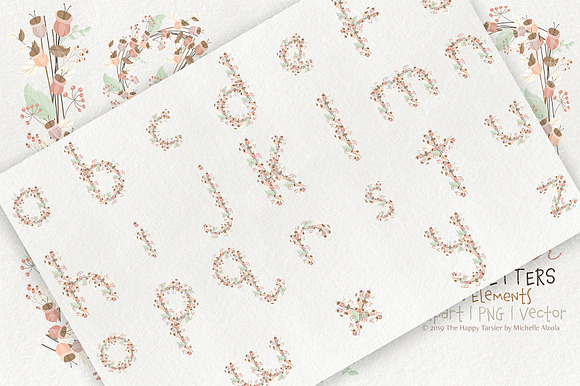 Flower Lower Case Letters 01BI07  in Illustrations - product preview 1