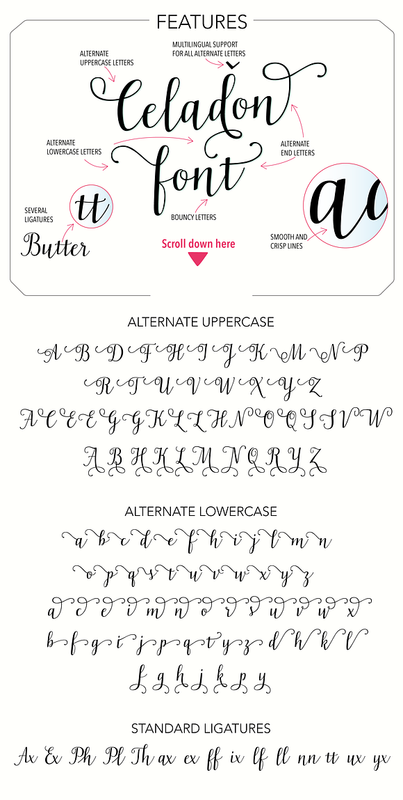 Celadon Modern Calligraphy Font in Script Fonts - product preview 15