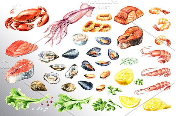 Seafood menu. Watercolor collection in Illustrations - product preview 1