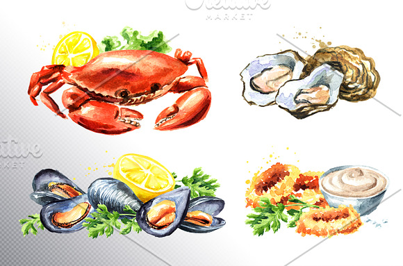 Seafood menu. Watercolor collection in Illustrations - product preview 3