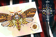  Ethnic Collection: Moth
