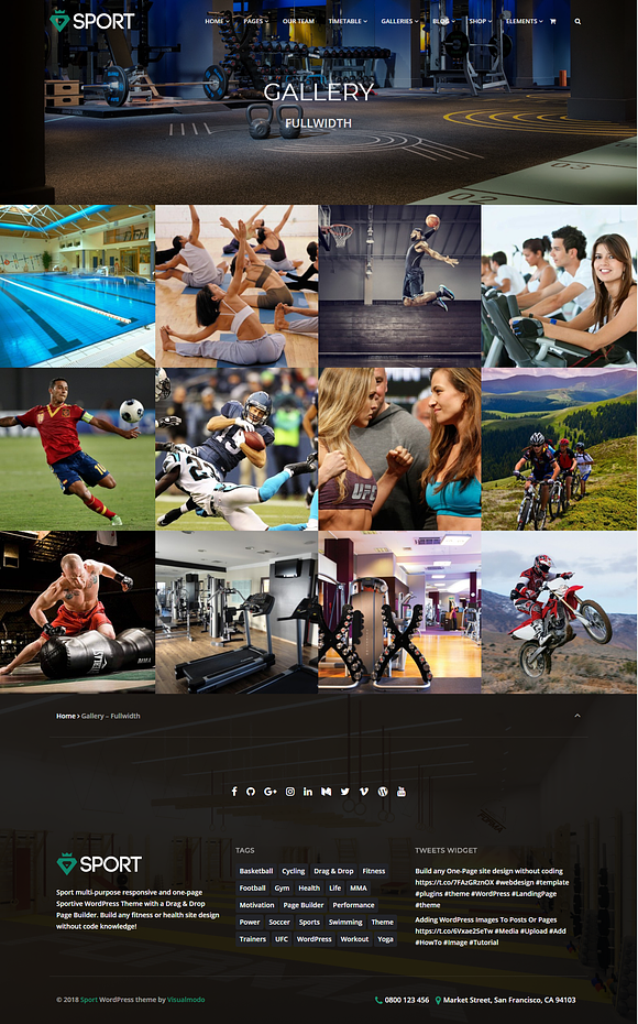 Sport WordPress Theme in WordPress Business Themes - product preview 12
