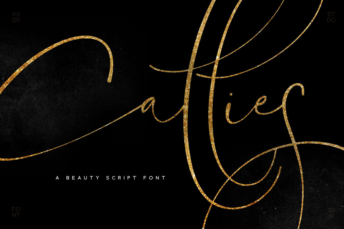 Callies Script in Script Fonts - product preview 8