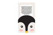 Penguin Animal Cover and Text Vector